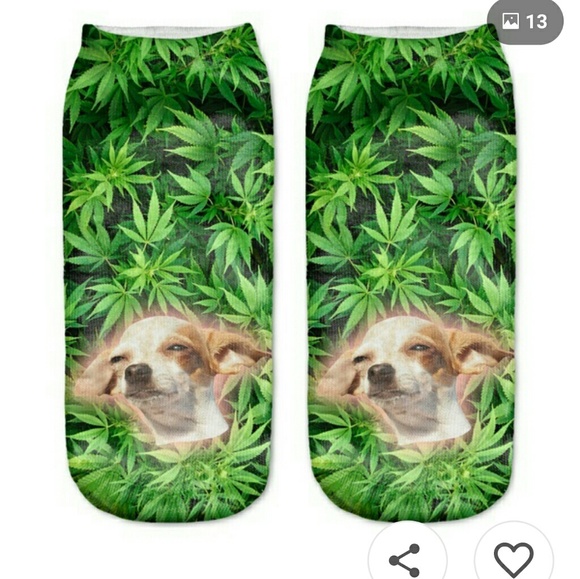 Accessories - 💲3 items for $10 *🆕️ Faded Chihuahua Ankle Socks